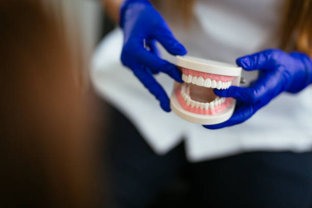 Best Dental Exams and Cleanings  in Eatonville, FL
