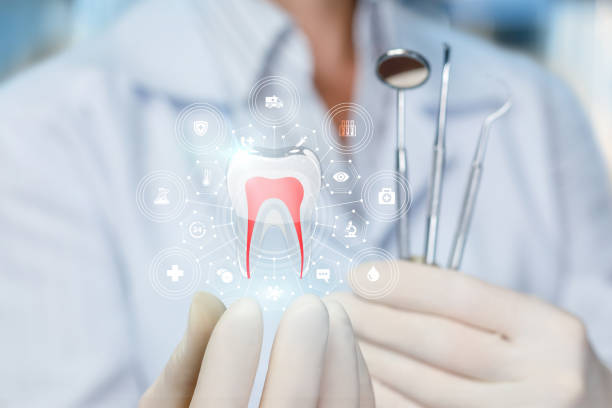 Best Preventive Dentistry  in Eatonville, FL